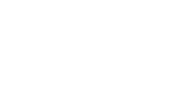 Diversity Leadership Alliance